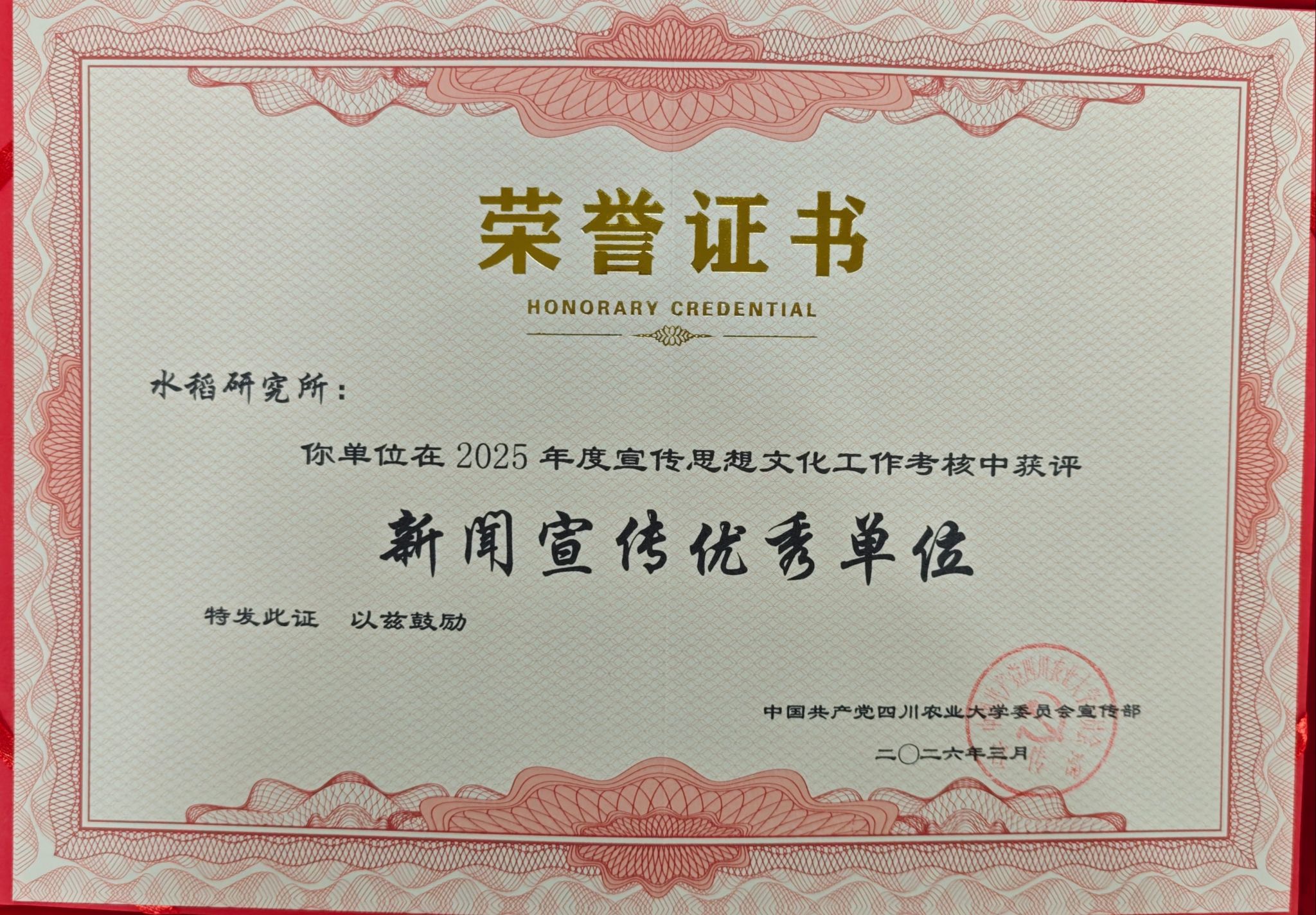 2025年新闻宣传优秀单位（校级）