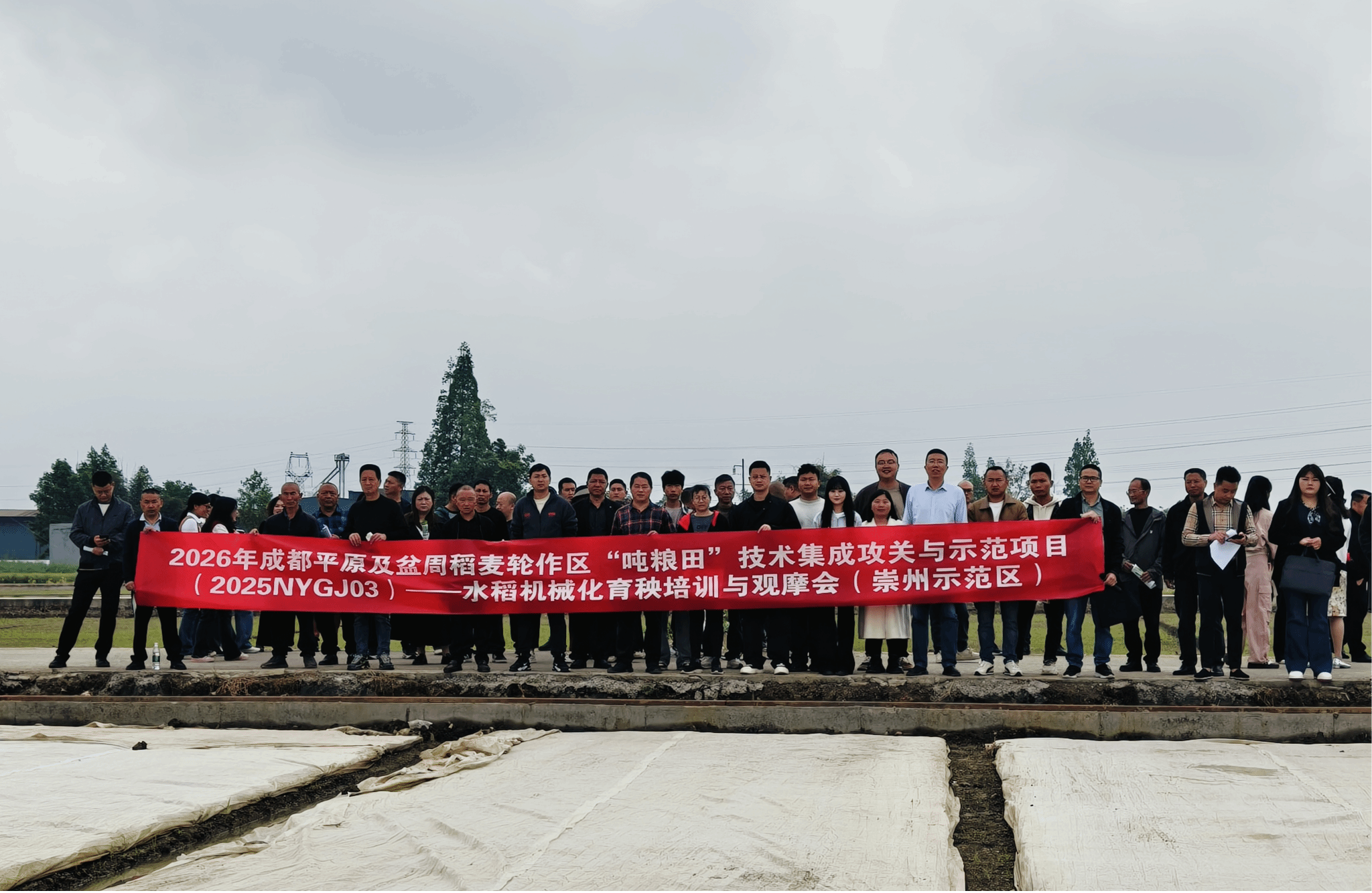 【兴农先锋】稻麦轮作“吨粮田”攻关团队在崇州召开现场观摩会