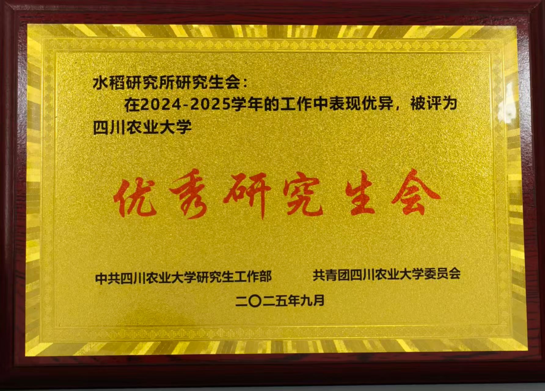 2025年优秀研究生会