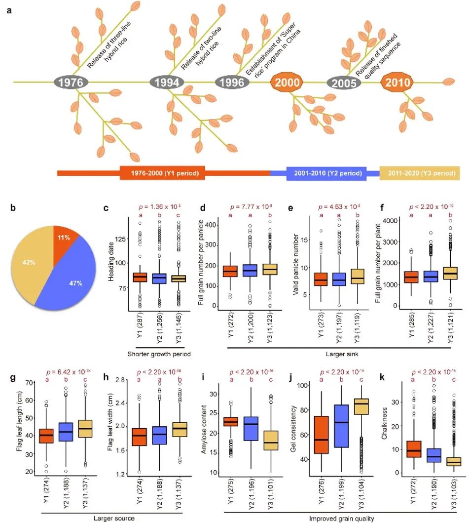Nature Genetics | 韩斌院士团队解析水稻杂种优势的遗传基础,助力杂交稻育种高质量发展-四川农业大学水稻研究所