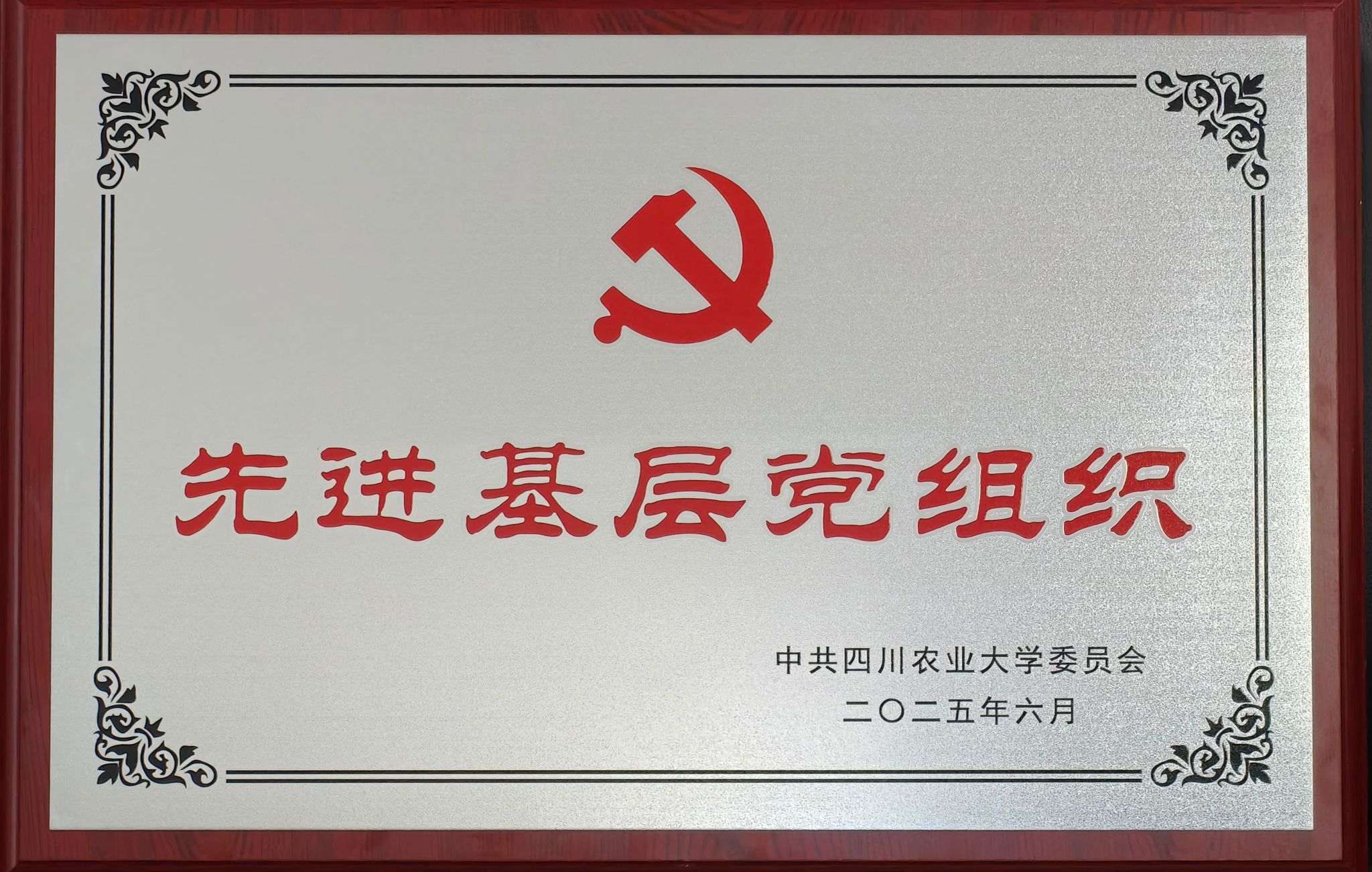 2025年优秀基层党组织